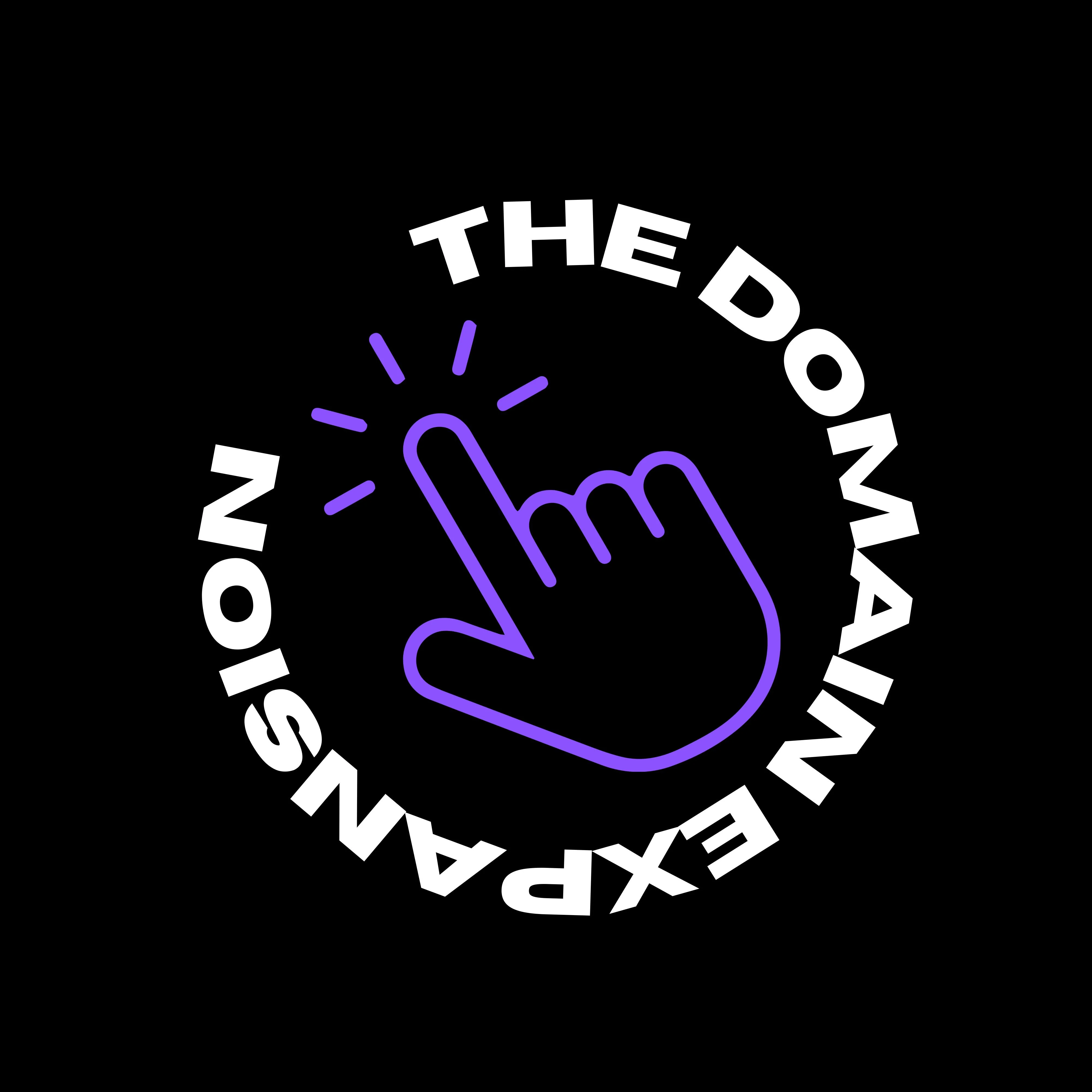 The Domain Expansion custom web design and SEO agency seal